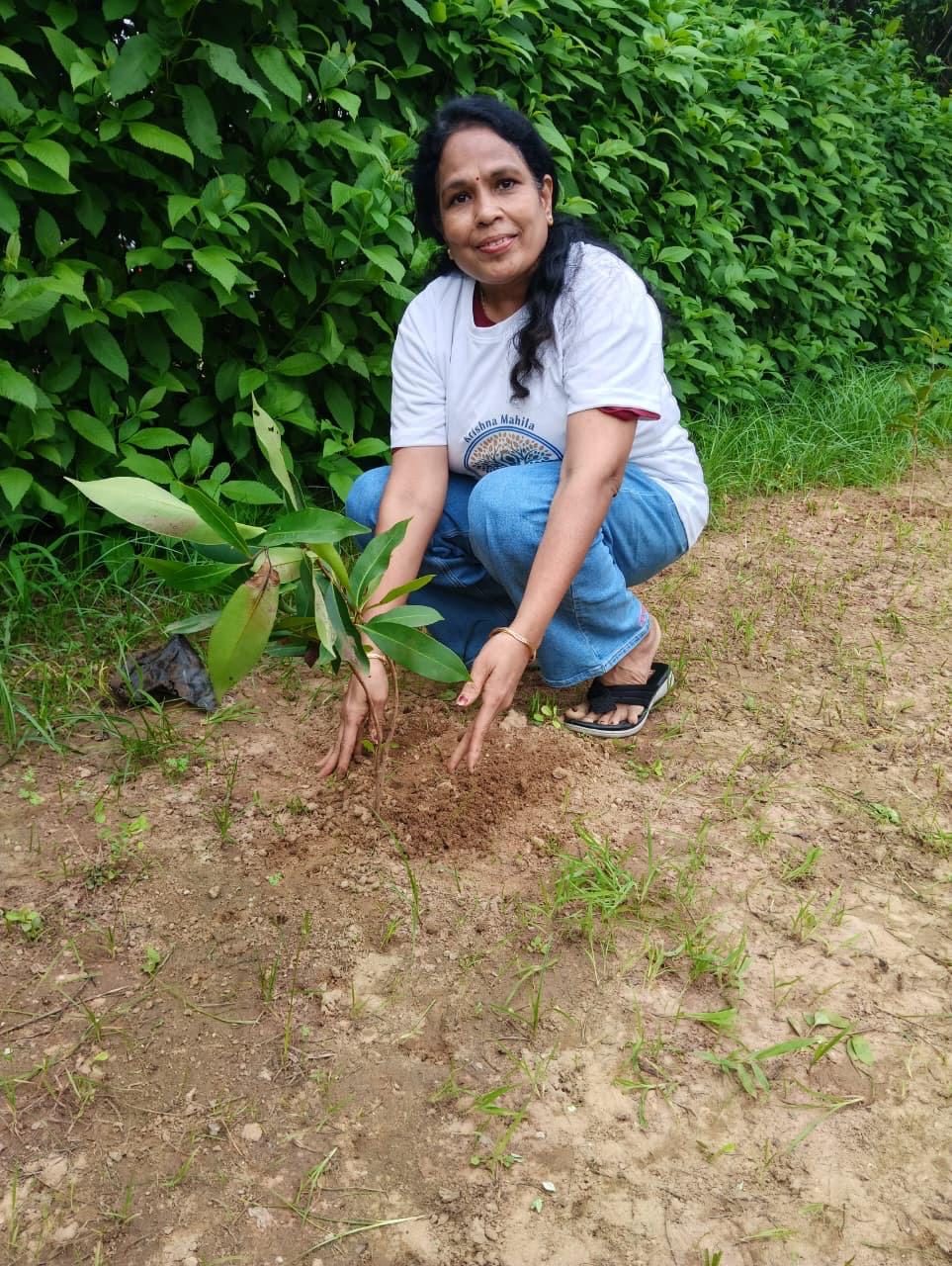 Planting a sapling during a society drive