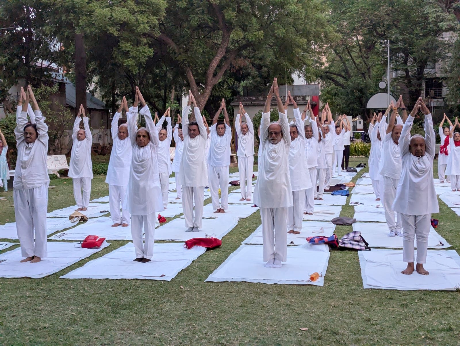 Yoga session for senior citizens